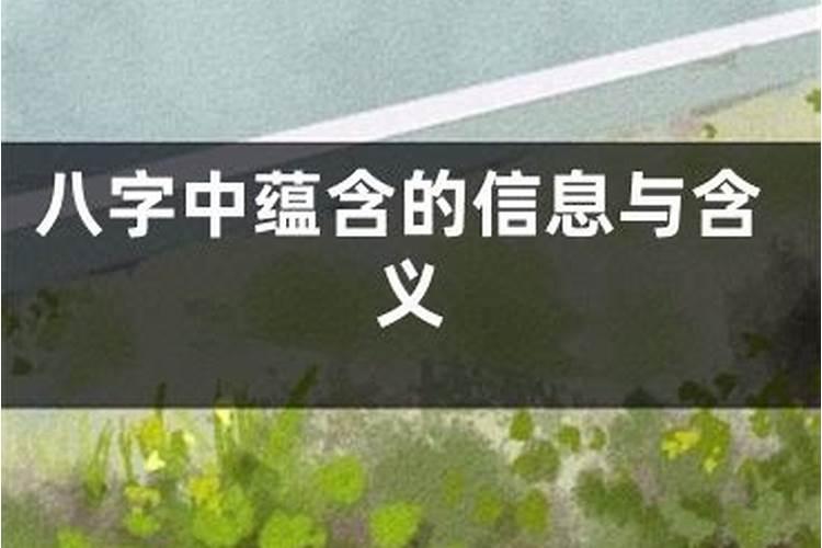 八字基本信息是什么意思啊