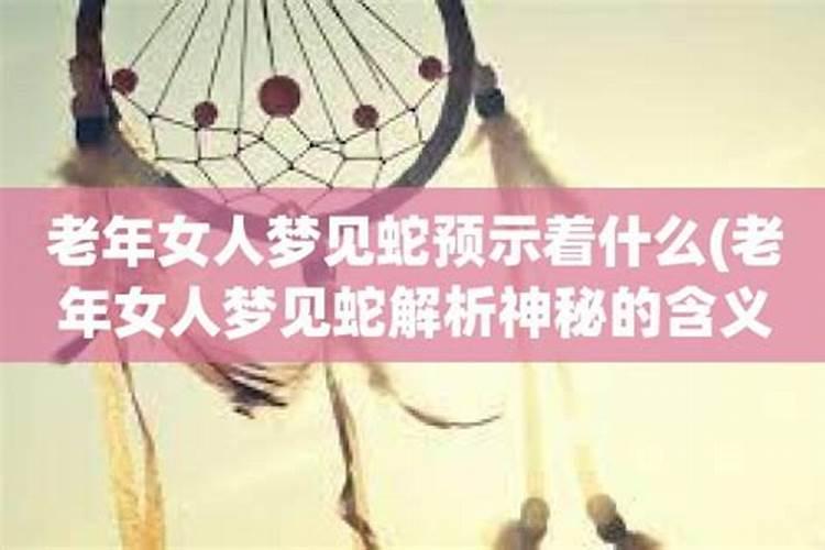 老年女人梦见蛇好不好梦