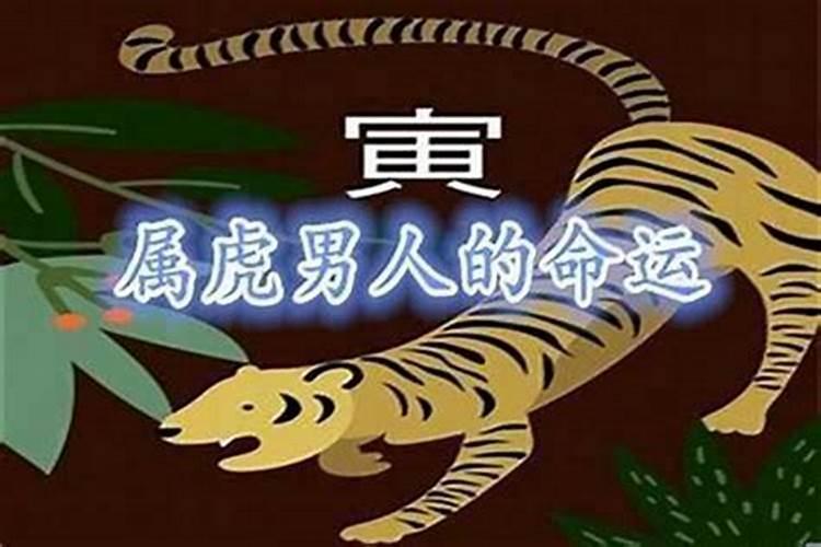 1998年虎今年运势如何