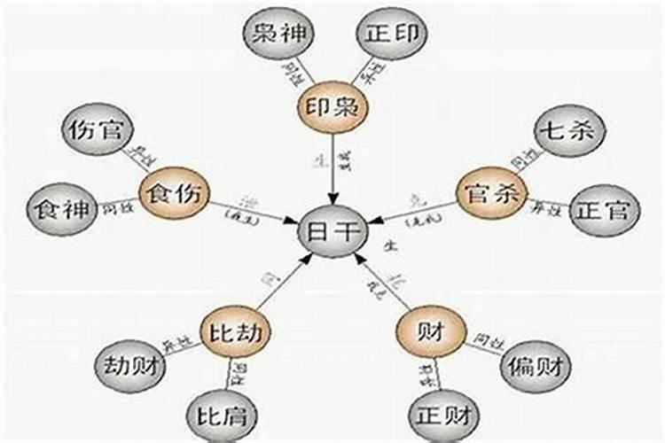 八字里面的食是什么