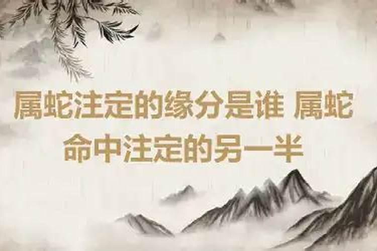 属蛇人的二次婚姻是什么年龄