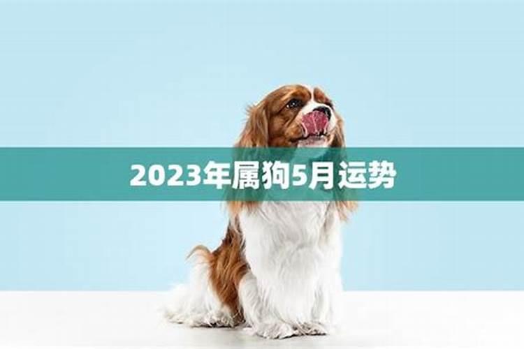 71年属猪2021每月运势