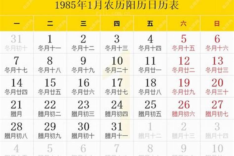 属兔运势2023年运势1月