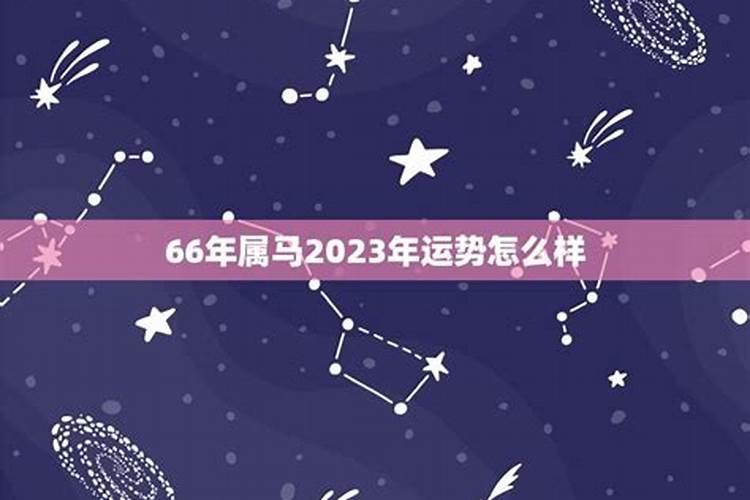 66属马2023年运势