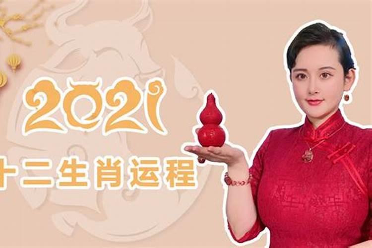 生肖羊2021冲太岁怎么破解