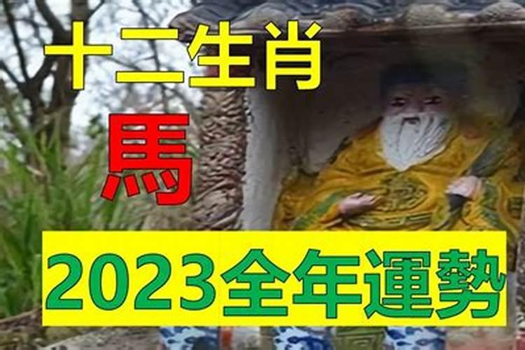 属马遇鼠年2020运势怎么样