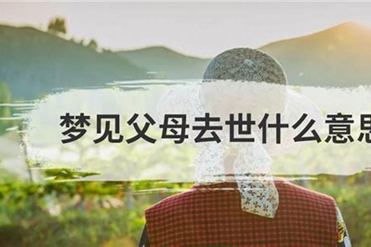 梦见羊头什么意思周公解梦