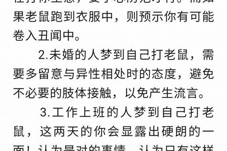 梦见有人拿老鼠往我身上扔