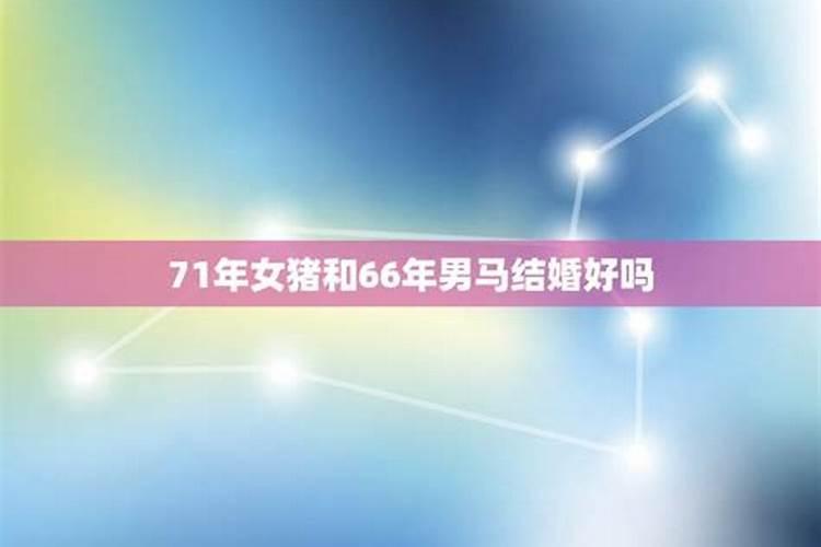 63年的兔在2023年的运势