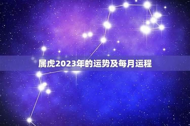 属虎的一2023年的运程