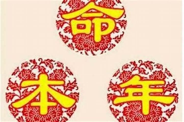 属马今年生小孩好不好