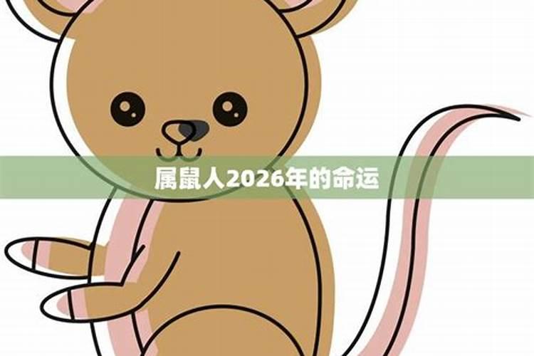 2026年属鼠是什么命