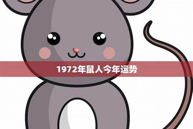 1972鼠生人今年运势