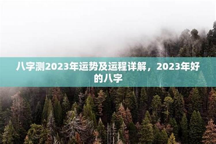 2023年哪些八字运势好点