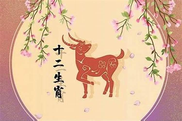 清明节祭祖的鲜花叫什么名字