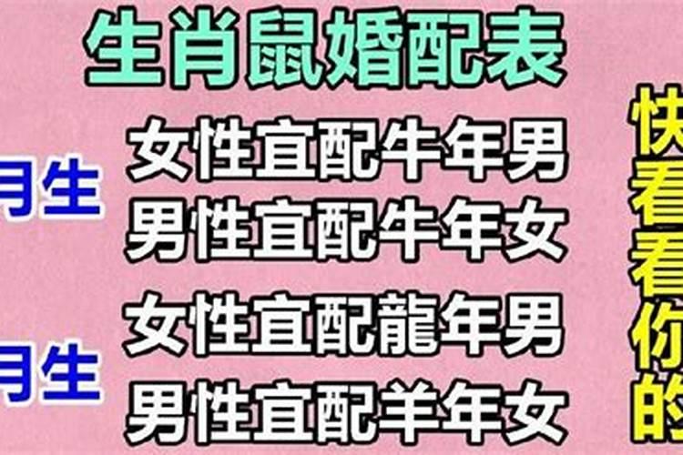 老是梦见狗是怎么回事