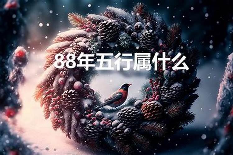 88属什么五行属什么