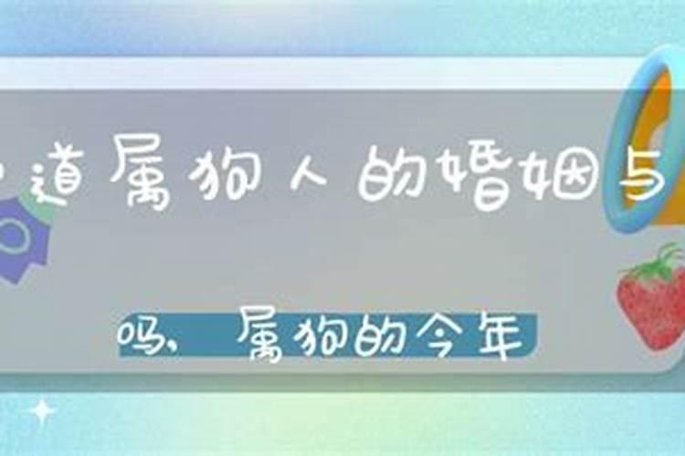 属狗人今年婚姻人云