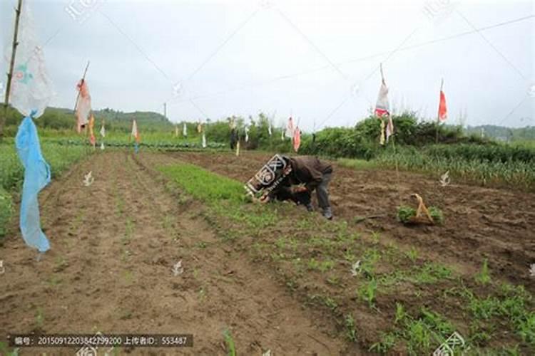 梦见去世的父亲在耕地是什么意思