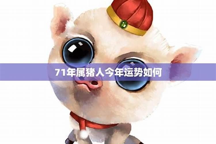 2023属猪今年运势如何