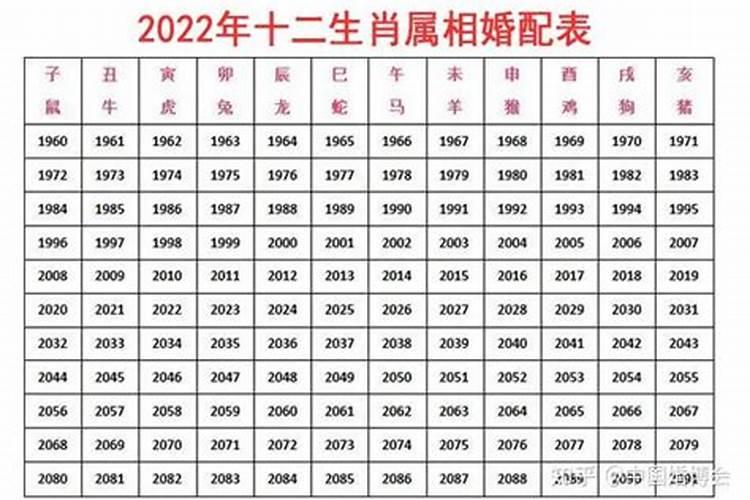 2022年与什么生肖相冲