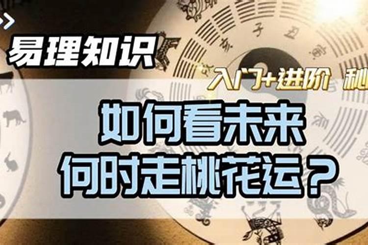 农历腊月属牛女人的命运怎么样