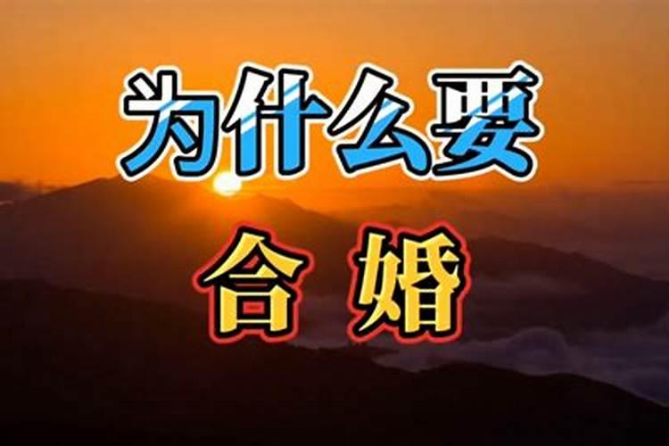 2020属兔女人全年12个月运势怎么样