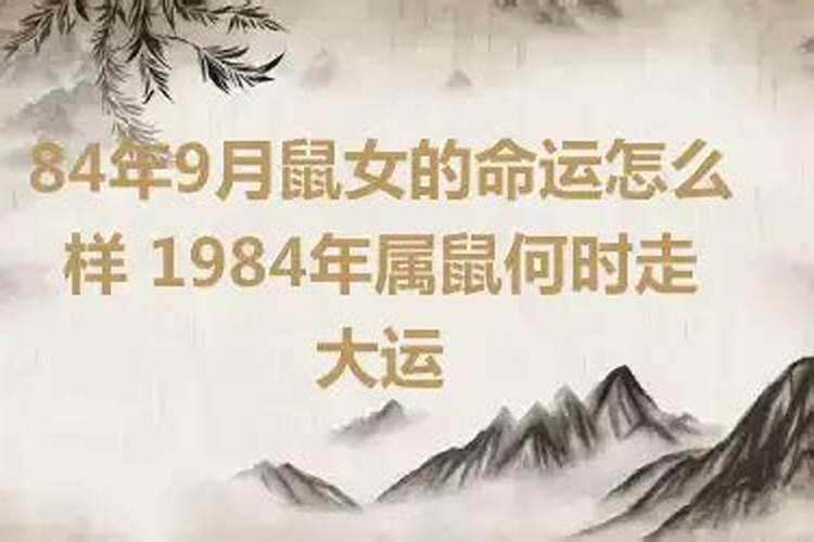 84年鼠什么时候走大运