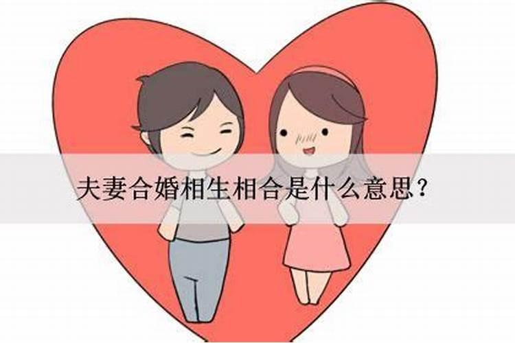 合婚时柱相合