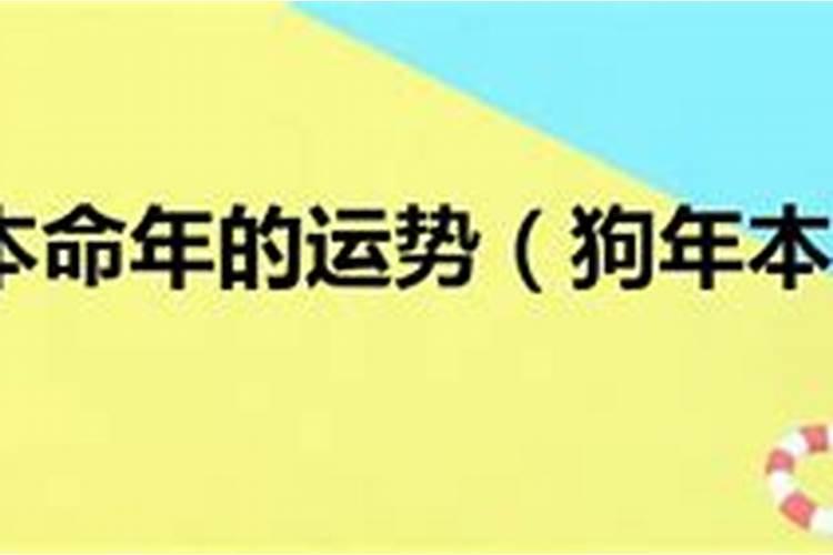 2020狗年本命年运势