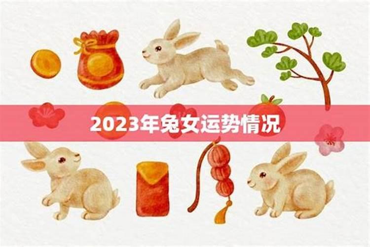 2023年属兔女下半年运势如何