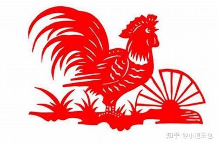 农历8月属鸡的运势如何