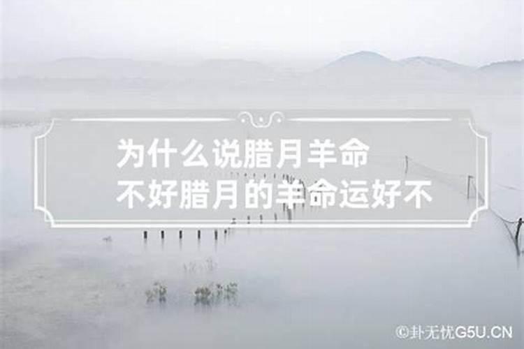 羊人腊月财运