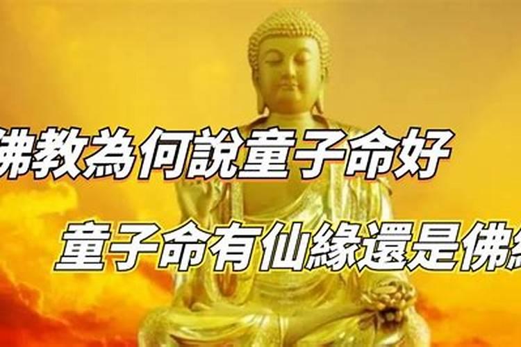 梦见老房子变漂亮什么预兆