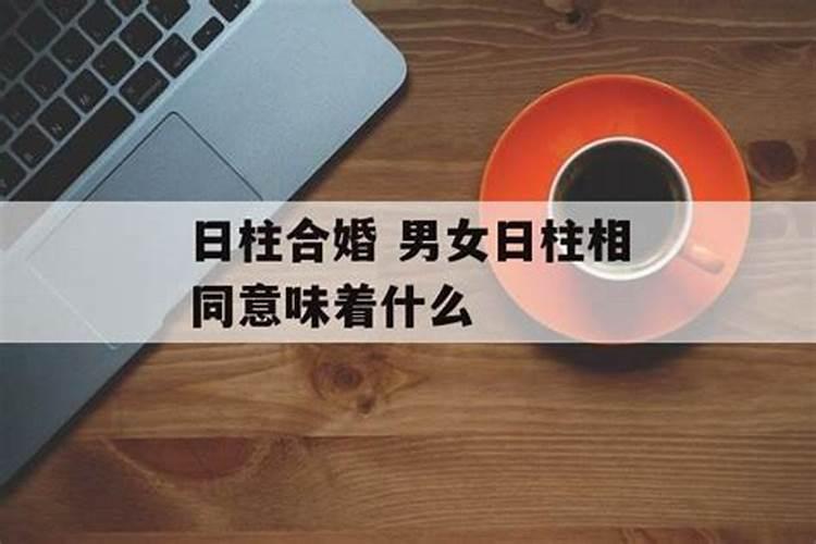 生肖羊养什么植物可以旺财