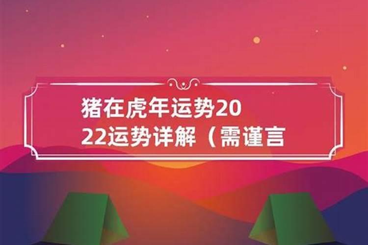 属猪人虎年运势2022年运势12生肖运势