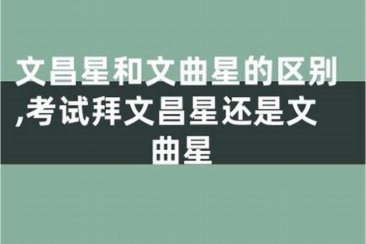 梦见老鼠咬我胳膊不松口