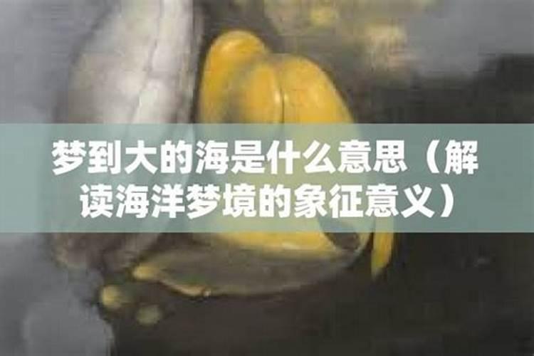 梦见大海和海洋生物