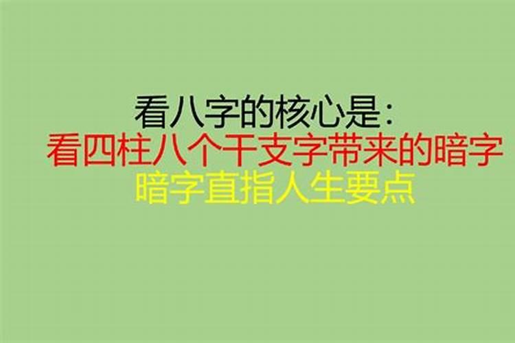 暗在八字里代表什么生肖动物和数字