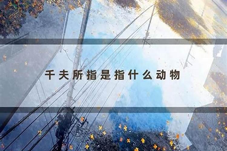 八字暗箭指的是什么