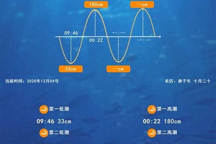 九月初九几点退潮