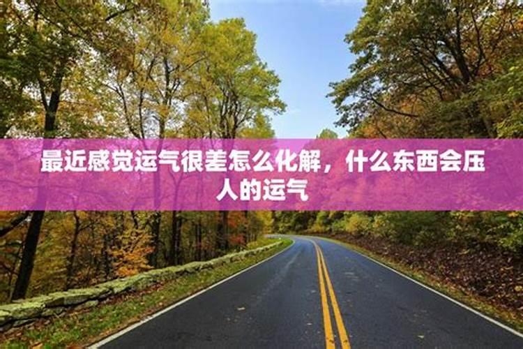 梦见别人捉住老鼠又跑了什么预兆