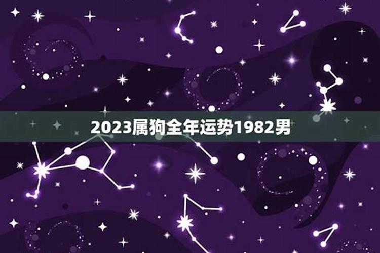 2023属狗人全年运势1982