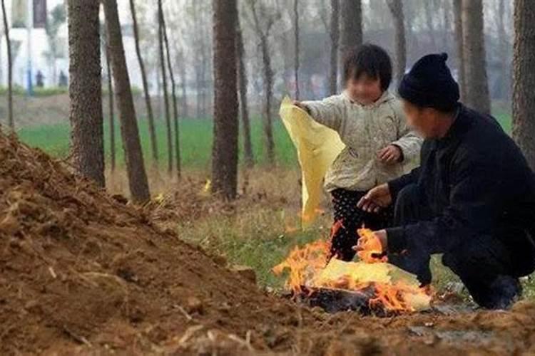 梦见和猫咪玩耍意思是什么解梦