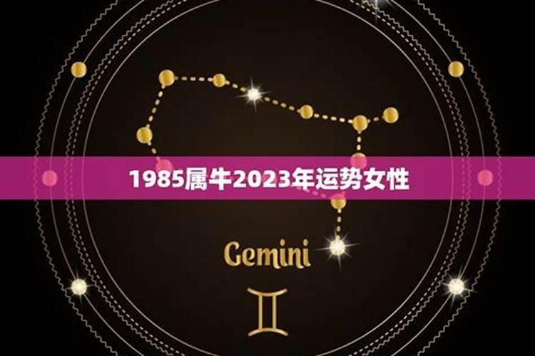 1985属牛2023年的运势女