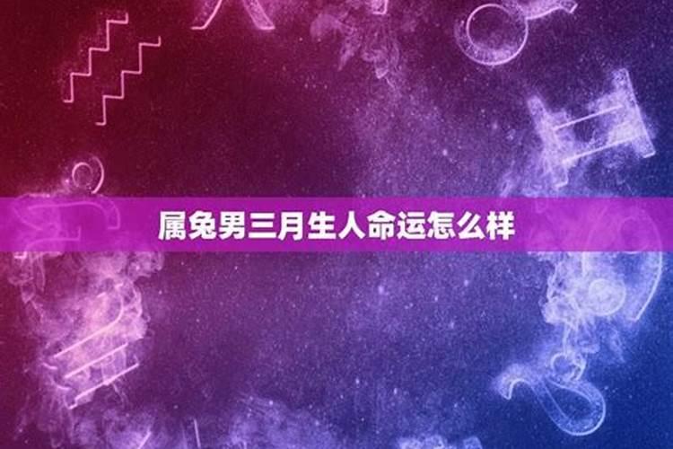 龙年2023年的运势及运程详解