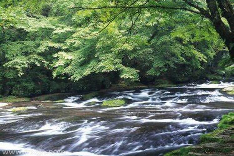 梦见水渠流水预示什么预兆解梦