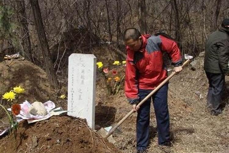 今年清明节上坟能填土吗