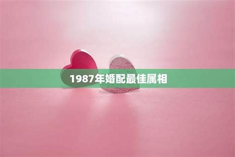 94年12月属狗的是什么命