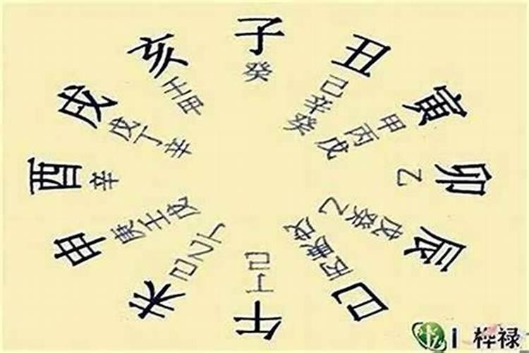 八字排盘中藏干是啥意思